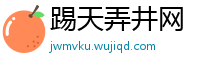 踢天弄井网